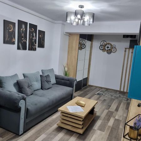 Luxury Apartments Bacău Buitenkant foto