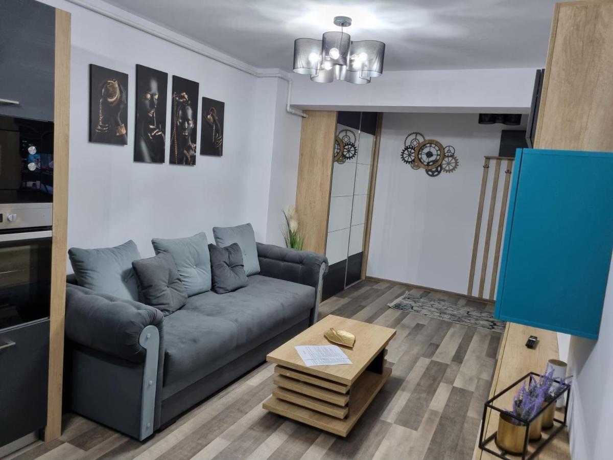 Luxury Apartments Bacău Buitenkant foto