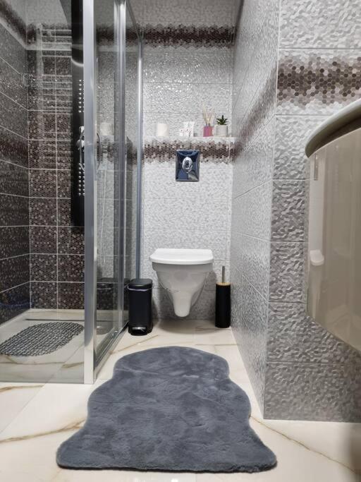 Luxury Apartments Bacău Buitenkant foto