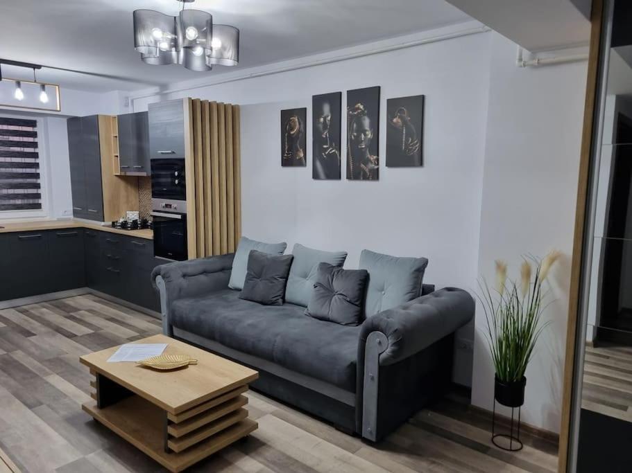 Luxury Apartments Bacău Buitenkant foto